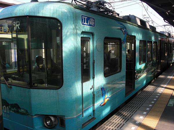 CIMG1608.jpg