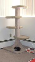P1020120.JPG