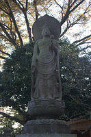 CRW_0135.jpg