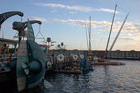 CRW_0139.jpg