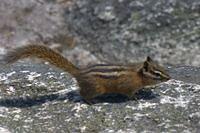 crw_0047
