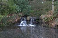 crw_0130